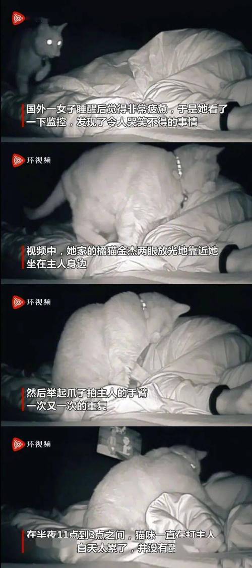 美女小鸡鸡的软件。图标