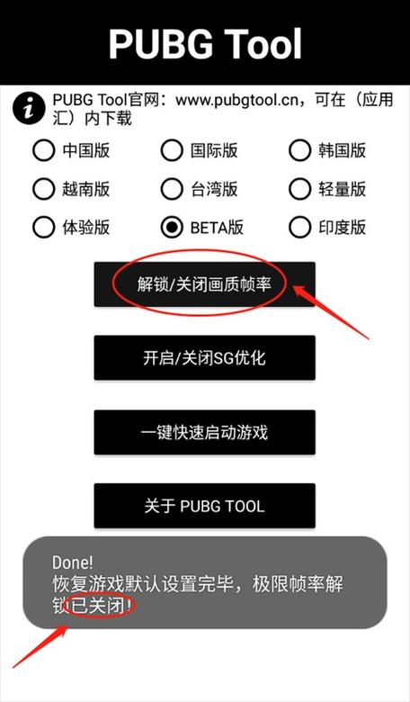 画质助助pubg正版