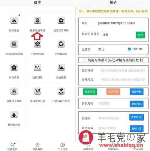 椰子云接码平台