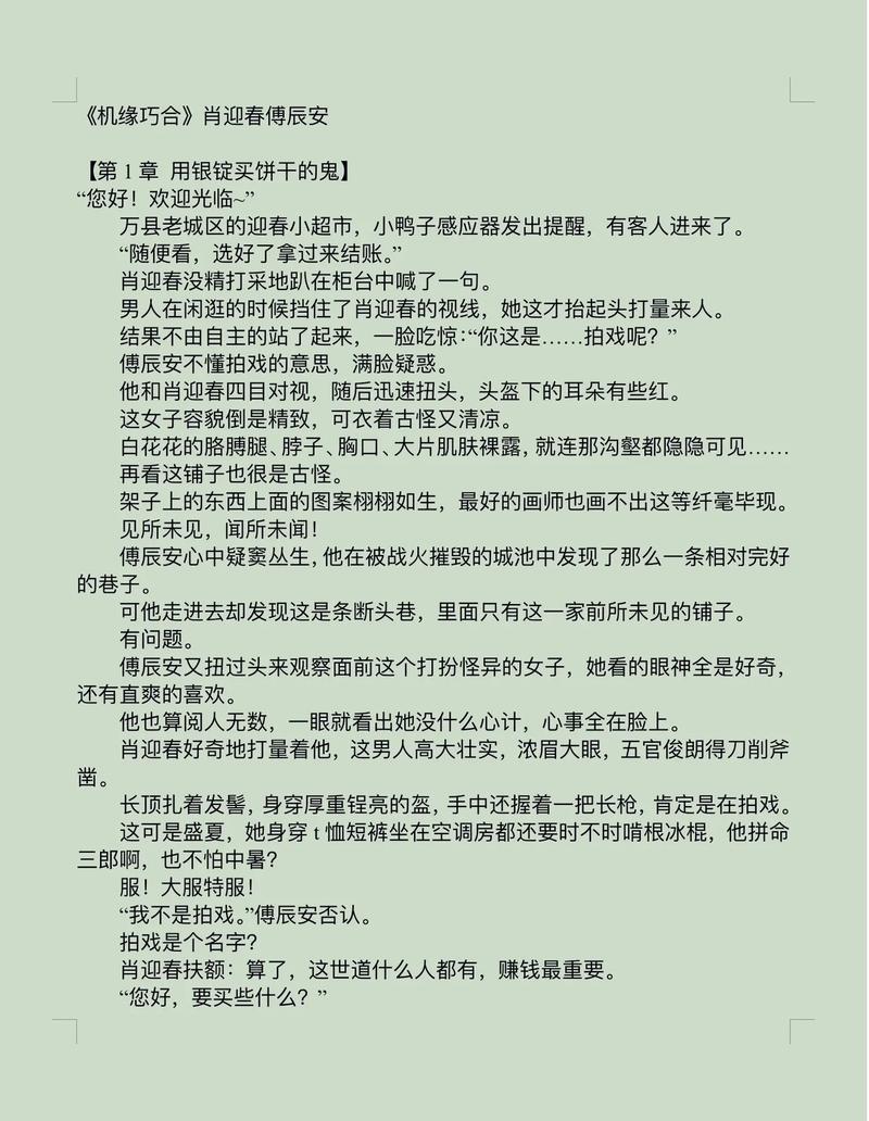 时空超市肖迎春傅辰安小说阅读免付费游戏截图