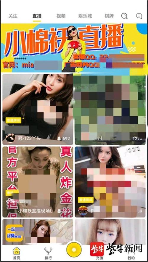 小棉袄直播免费版