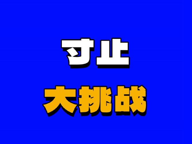 每日大赛主题大赛寸止挑战游戏截图