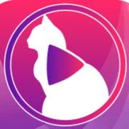 色猫直播免费手机在线观看游戏截图