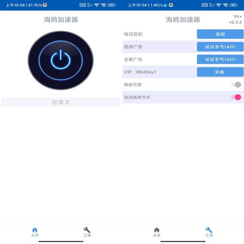 海鸥加速器官网入口app