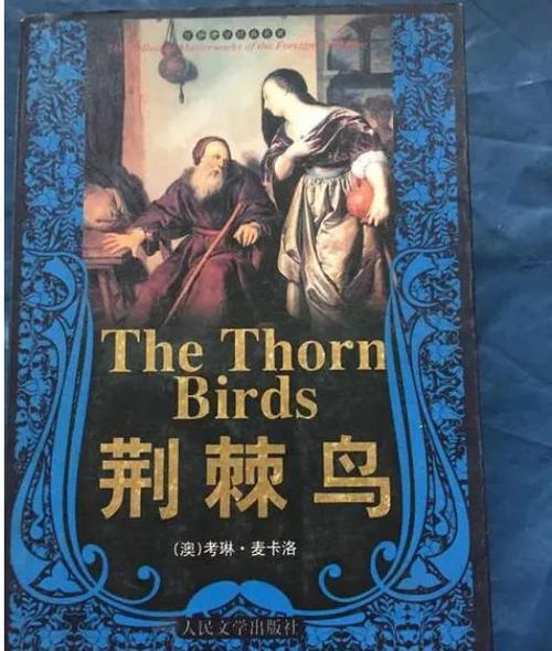 荆棘鸟小说iphoneipad版游戏截图