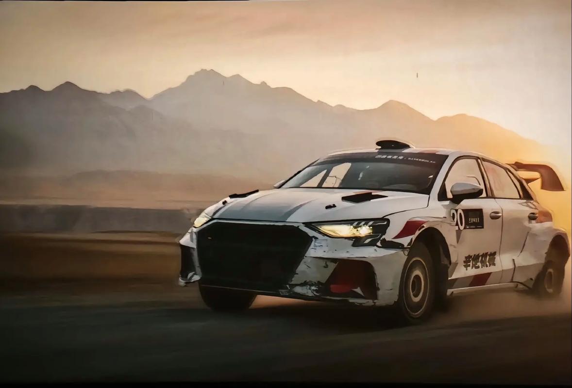 巴音布鲁克拉力赛游戏