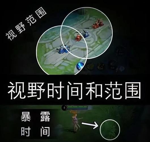 王者荣耀全图视野辅助器视频永久游戏截图