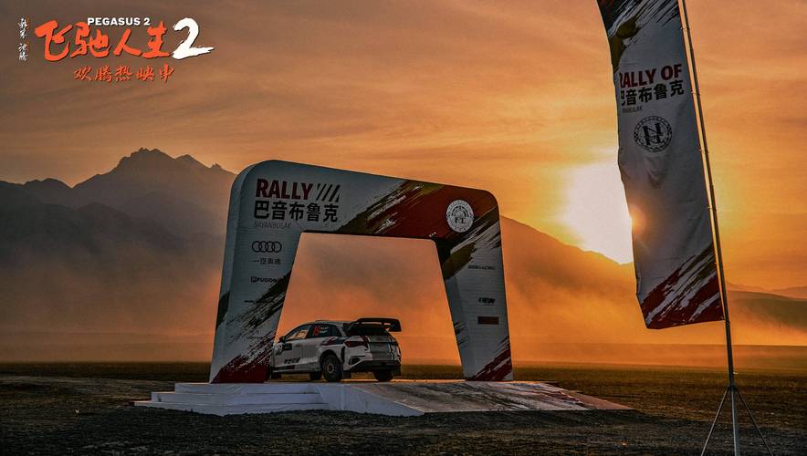 巴音布鲁克拉力赛游戏游戏截图