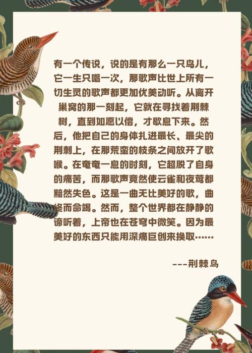 荆棘鸟小说iphoneipad版