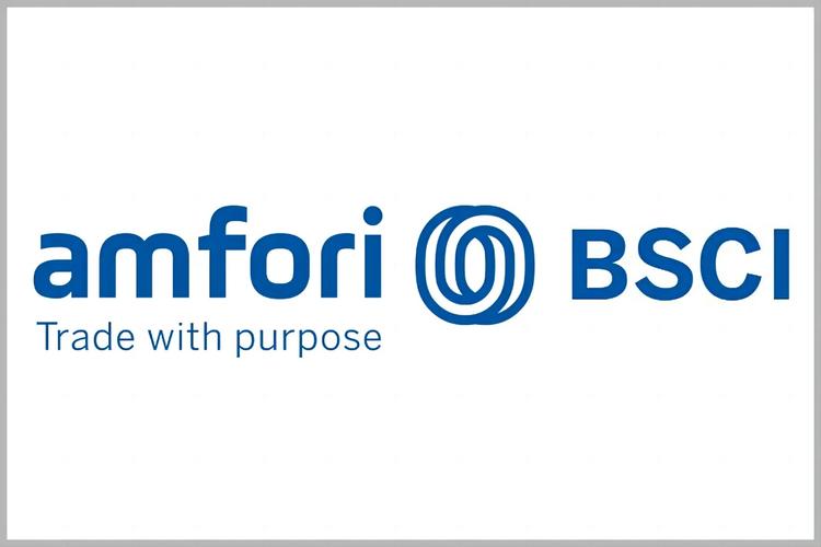 dmiccam官方正式版游戏截图