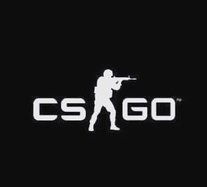 csgo免费透视辅助2023游戏截图