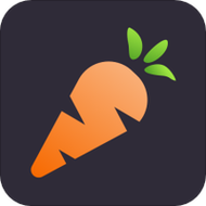 萝卜视频游戏截图