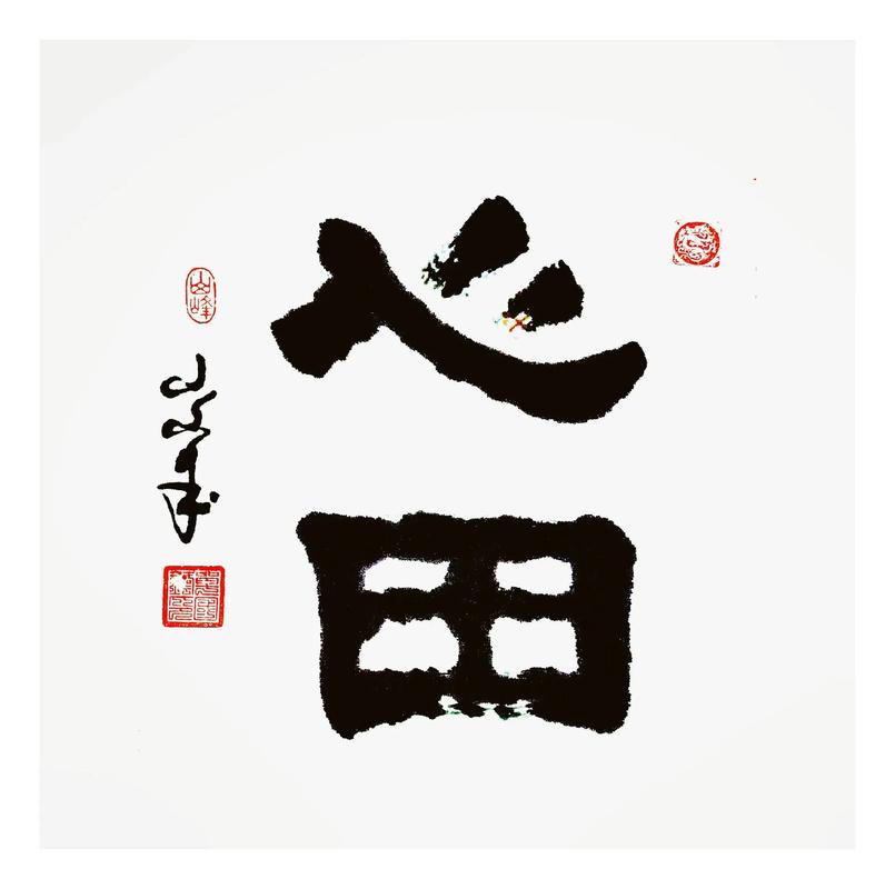 心田官网游戏截图