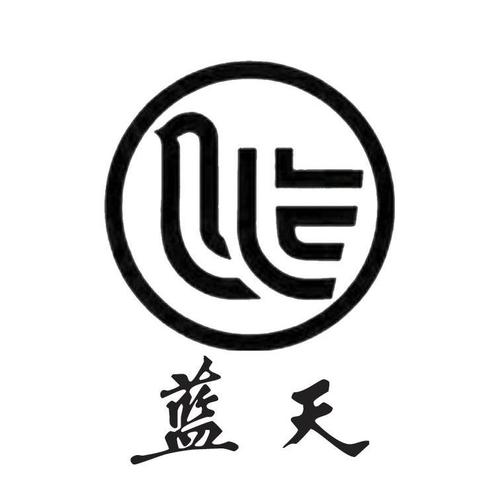 蓝天视频游戏截图