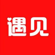 遇见相亲平台游戏截图