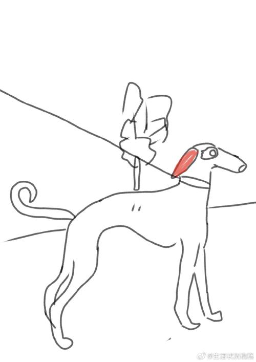 细狗视频4.1.2游戏截图