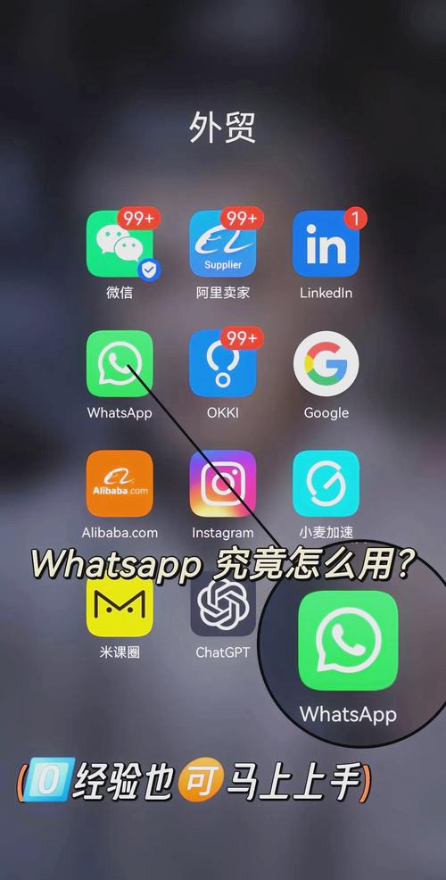 whatsapp官网