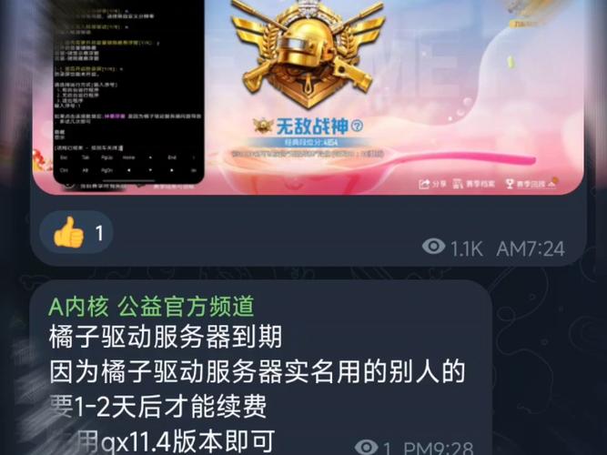 和平精英by公益内核