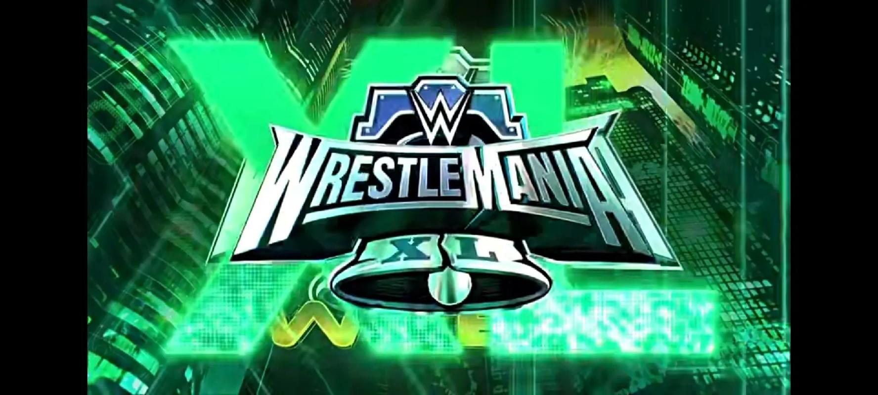 WWE美国职业摔角游戏游戏截图