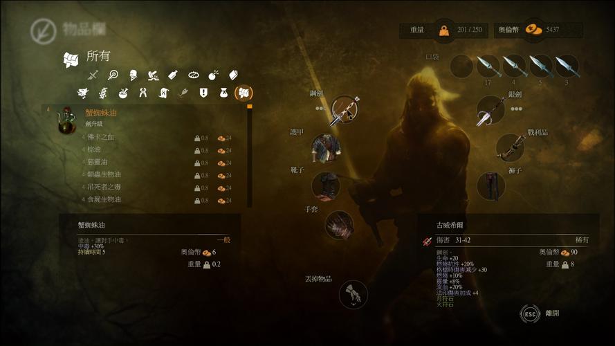 巫师2国王刺客修改器