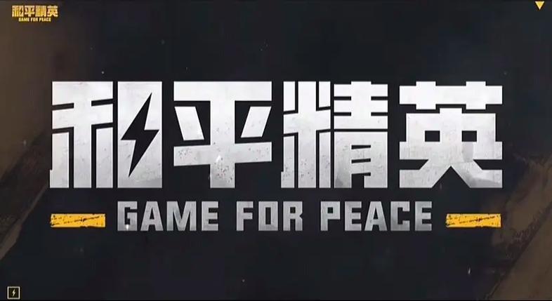 改文件和平精英地铁逃生无限时间版游戏截图