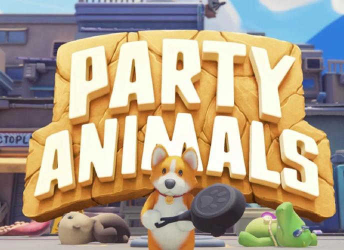 动物派对的视频防走失游戏截图