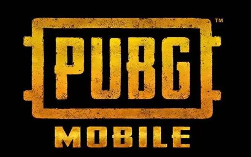 无后座文件PUBG图标