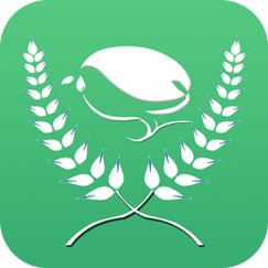 种子app游戏截图