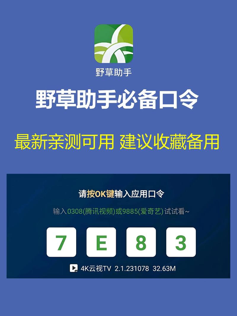 野草助手2025年口令码游戏截图