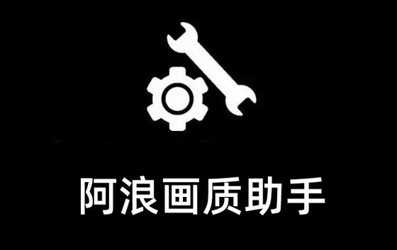 阿浪国际服画质助手最新版游戏截图