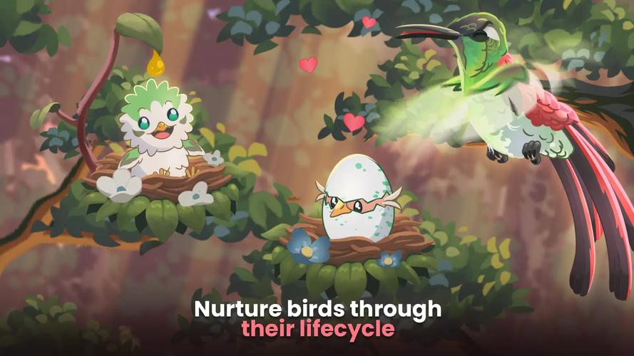 游戏鸟最新版本更新内容