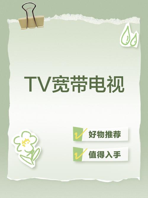 宽带电视TV免费版下载永久免费