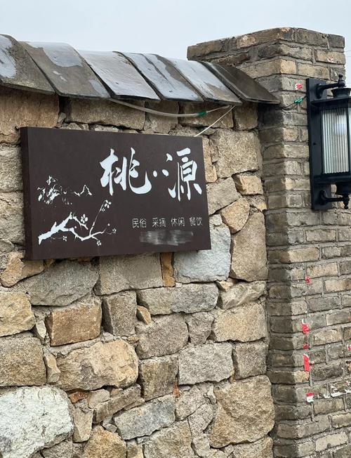 桃源山庄游戏截图