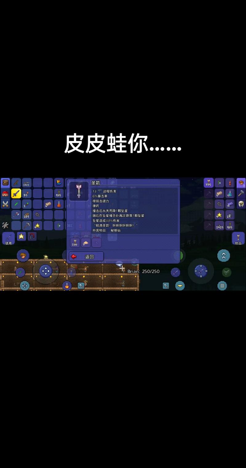 一只皮皮蛙汉化