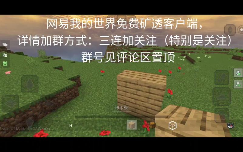 我的世界免费矿透挂游戏截图