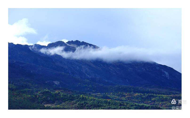 密林溪流汉化版蓝色旧版无广告游戏截图