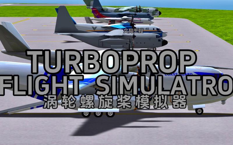 tfs涡轮螺旋桨飞行模拟器手机在线观看