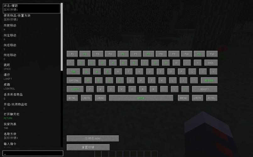 我的世界电脑按键图游戏截图