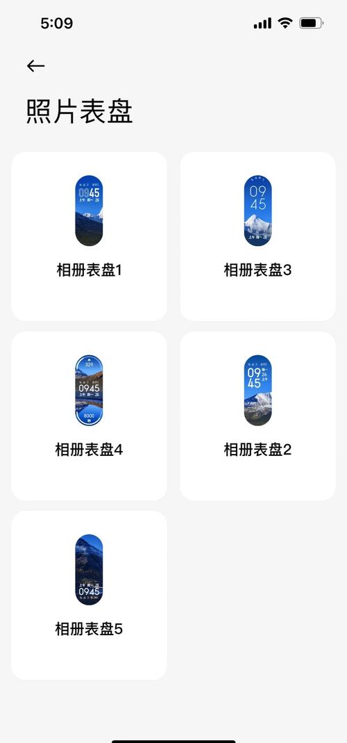 表盘自定义工具小米手环8专用版永久不升级游戏截图