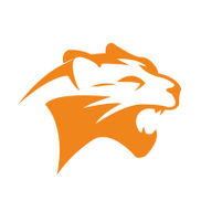 猎豹加速器官方网游戏截图