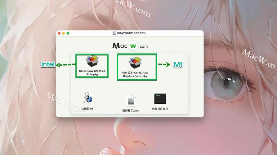 cdr软件破解版安装包