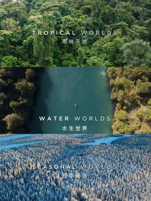 bbc纪录片亚马逊雨林无限能量图标