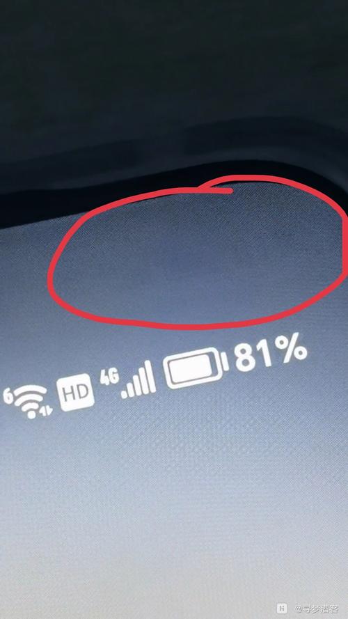 屏幕烧屏残影修复游戏截图