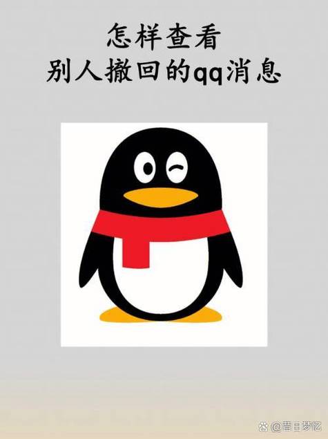 qq防撤回破解版视频永久游戏截图