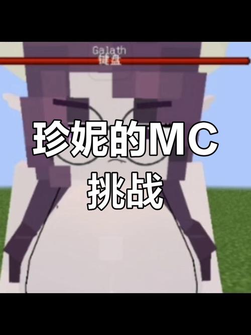 我的世界珍妮rmvb下载游戏截图