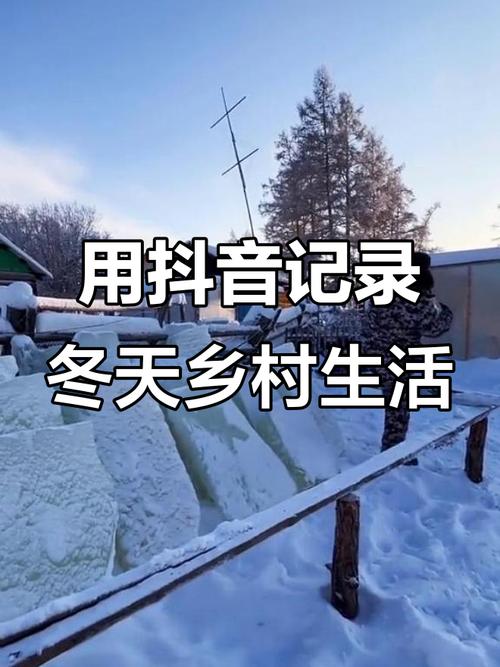 冬日乡村生活汉化版下载游戏截图