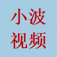 国民小波视频网址游戏截图