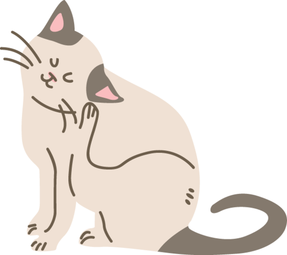 挠脚心的猫搞笑大全游戏截图