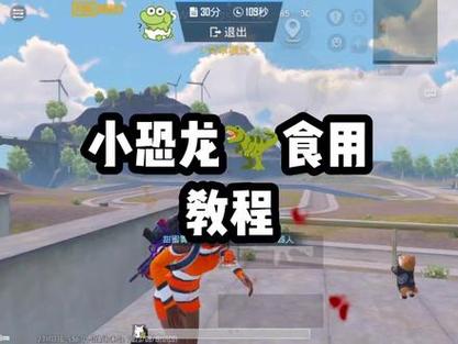 小恐龙梅花美化包