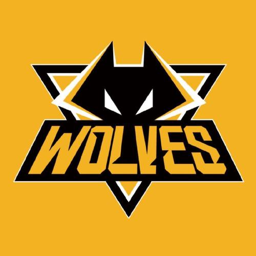 战狼启动器游戏截图